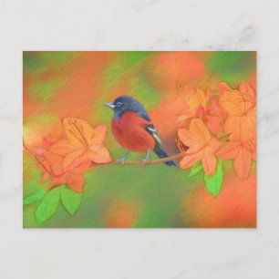 Orchard Oriole Songbird Malerei Original Bird Art Postkarte