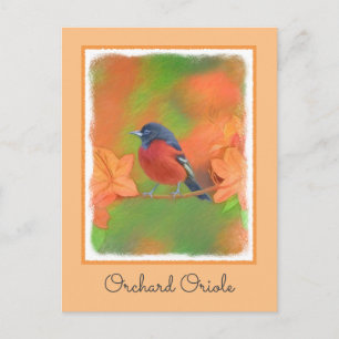 Orchard Oriole Songbird Malerei Original Bird Art Postkarte