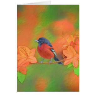 Orchard Oriole Songbird Peinture Oiseau original