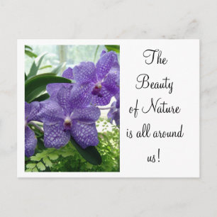 Orchard Violet Postkarte