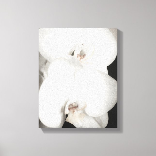 Orchid 8931 leinwanddruck (Vorderseite)