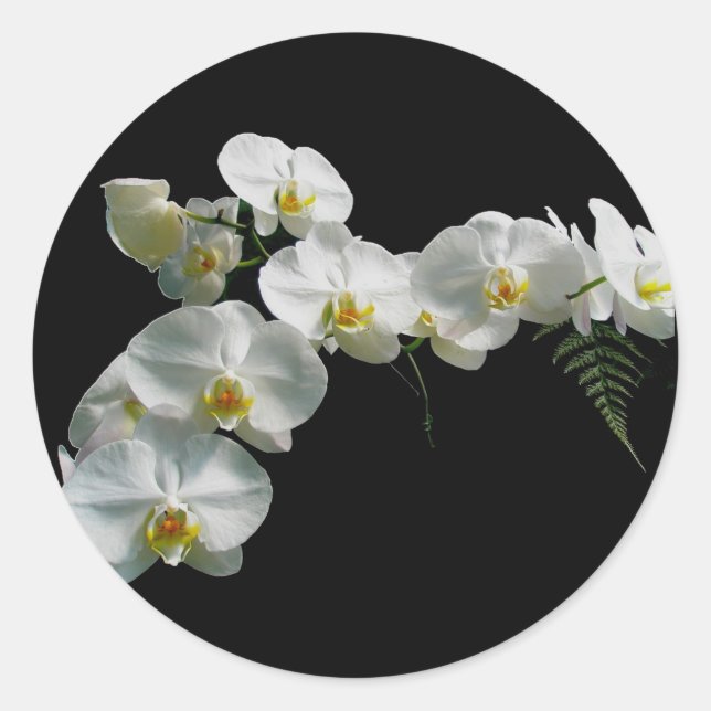 Orchid-Aufkleber Runder Aufkleber (Vorderseite)