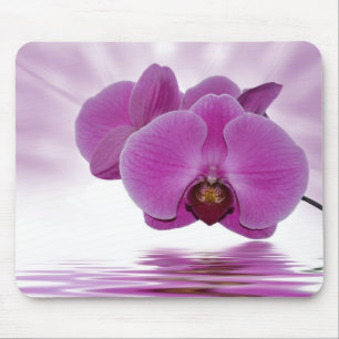 Orchid Aurora Mousepad