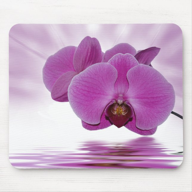Orchid Aurora Mousepad (Vorne)