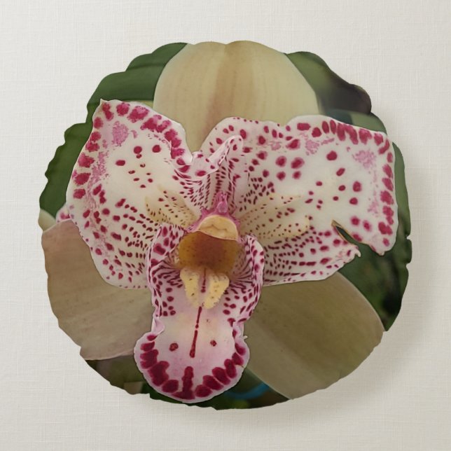 Orchid aus Carlsbad, CA Original Foto Kissen (Vorderseite)