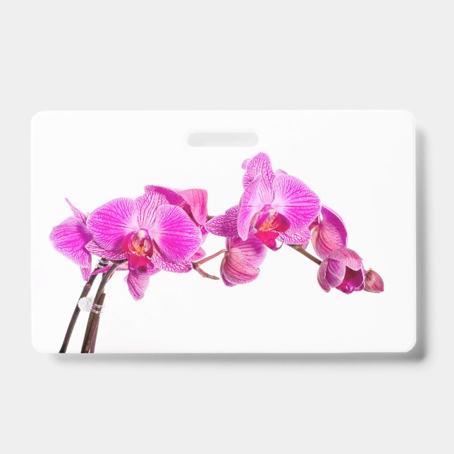 Orchid Ausweis (Vorderseite)
