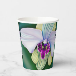 Orchid Beauty Pappbecher