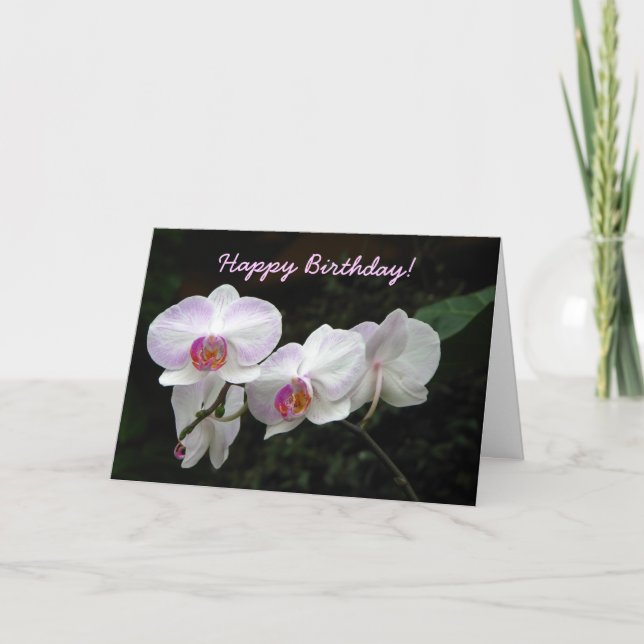 Orchid Birthday Grußkarte Karte (Vorderseite)