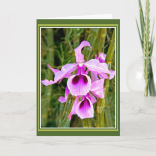 Orchid Birthday Karte