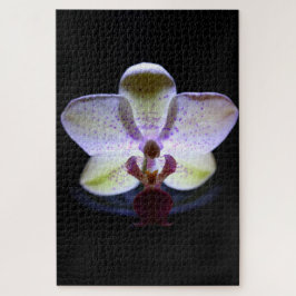 Orchid-Blume