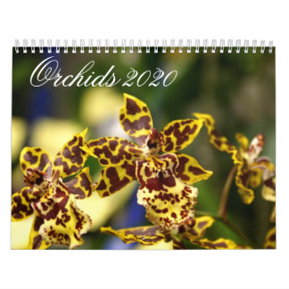 Orchid-Blume 2020-Kalender Kalender