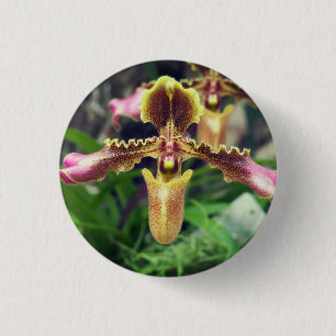 Orchid-Blume Button