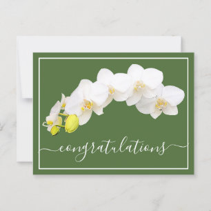 Orchid Blume Grüner Hintergrund Glückwünsche Postkarte