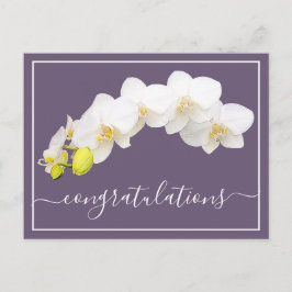 Orchid Blume Lila Hintergrund Herzlichen Glückwuns Postkarte