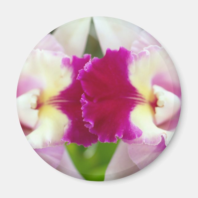 Orchid-Blume Magnet (Vorne)