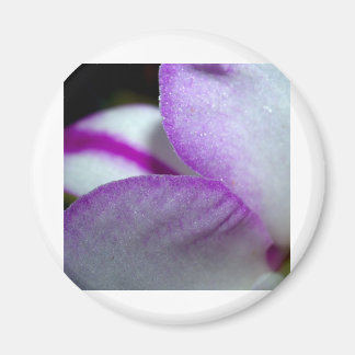 Orchid-Blume Magnet