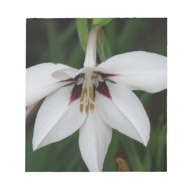 Orchid-Blume Notepad Notizblock (Vorderseite)