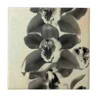 Orchid Blush Panels IV