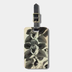 Orchid Blush Panels IV Gepäckanhänger