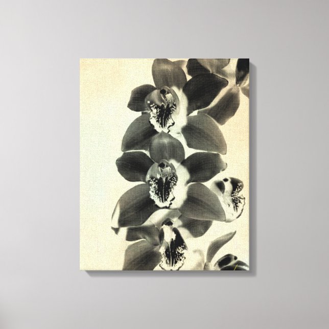 Orchid Blush Panels IV Leinwanddruck (Vorderseite)