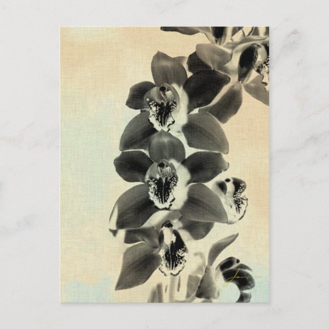 Orchid Blush Panels IV Postkarte (Vorderseite)