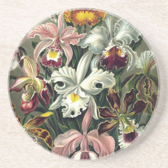 Orchid Botanic Print Untersetzer (Vorne)