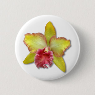 Orchid Button