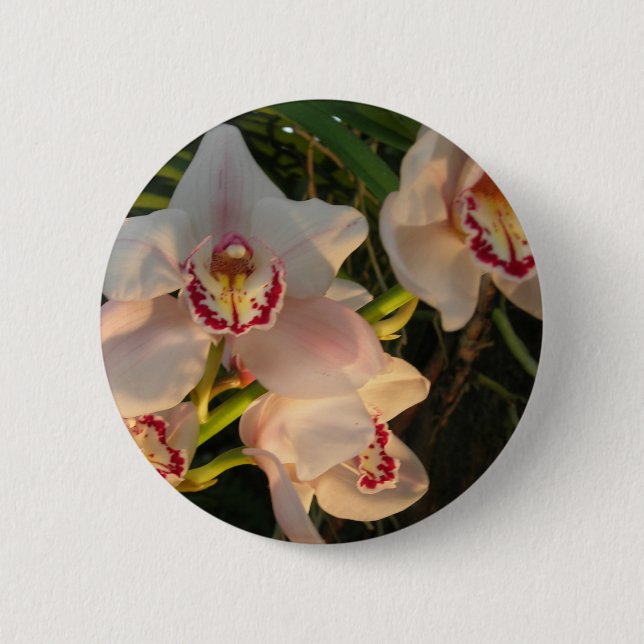 Orchid Button (Vorderseite)