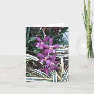 Orchid-Cluster-Merkkarte Karte