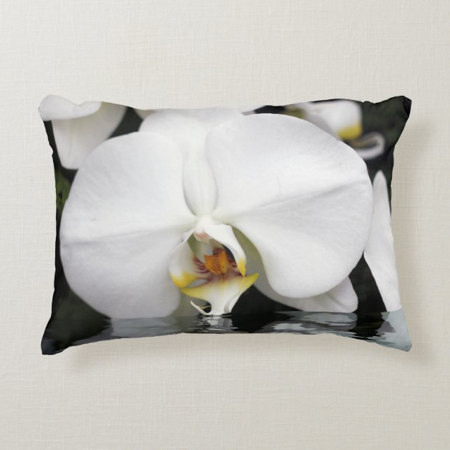 Orchid, der aus dem Wasserakzent Kissen hervortrit (Vorderseite)