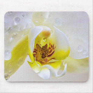 Orchid Dew Mousepad