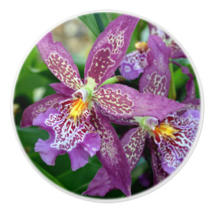 Orchid Drawing Pull Keramikknauf