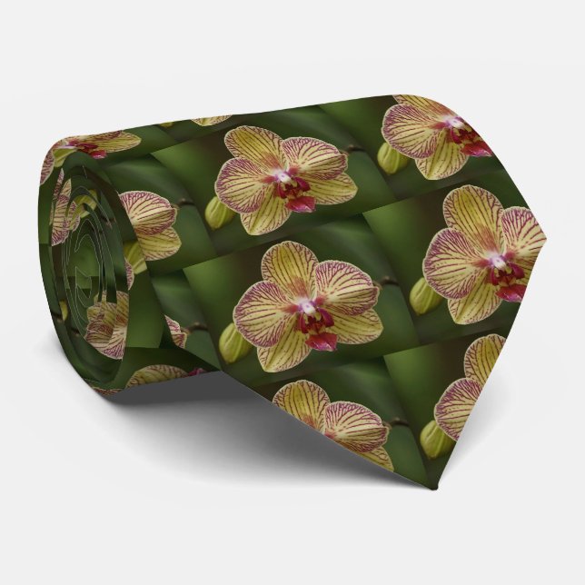 Orchid Elegance Krawatte (Gerollt)