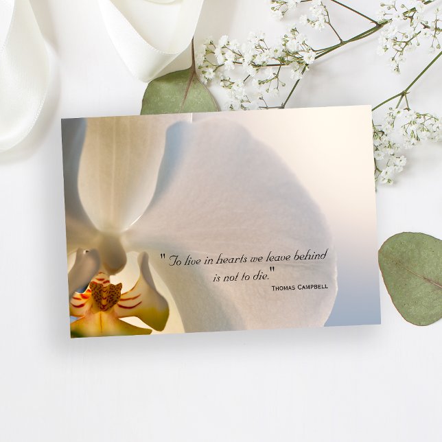 Orchid Elegance Vielen Dank für Ihr Beileid Hinwei Einladung (Von Creator hochgeladen)