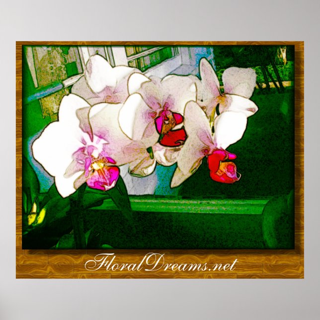 Orchid Explosion Poster (Vorne)