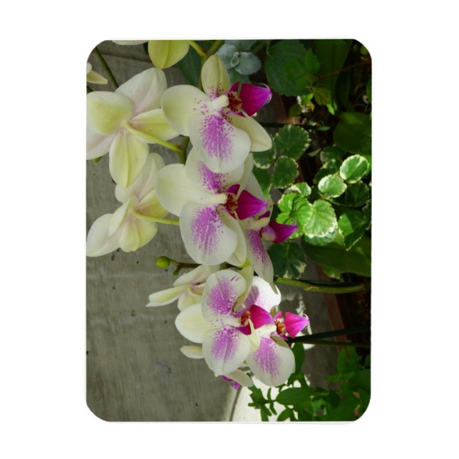 Orchid Flexible Foto Magnet (Vertikal)