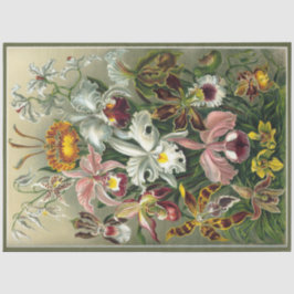 Orchid Floral Ernst Haeckel Decoupage Seidenpapier