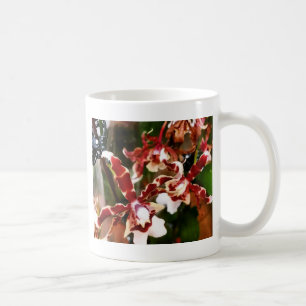 Orchid Kaffeetasse