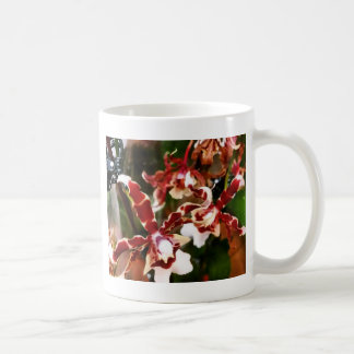 Orchid Kaffeetasse