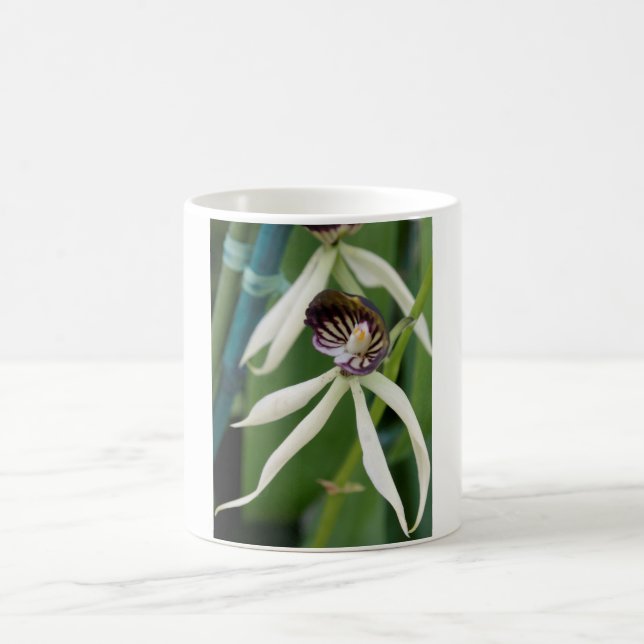 Orchid Kaffeetasse (Mittel)