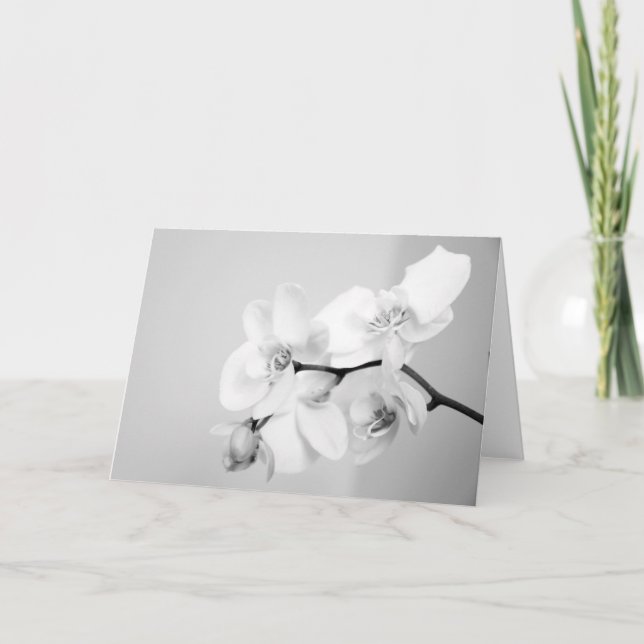 Orchid Karte (Vorderseite)