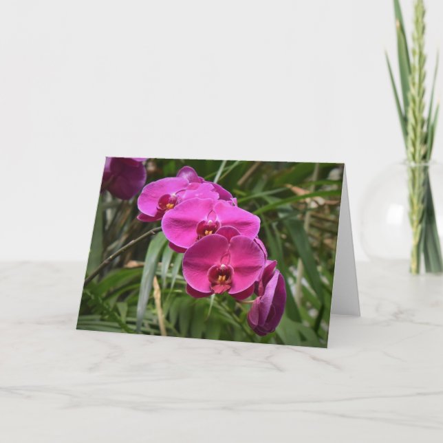 Orchid, Karte (Vorderseite)