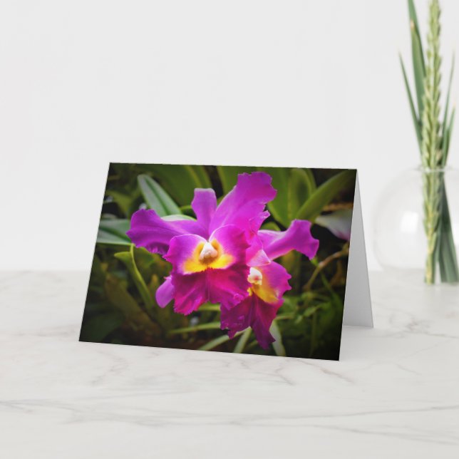 Orchid, Karte (Vorderseite)