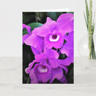 Orchid, Karte
