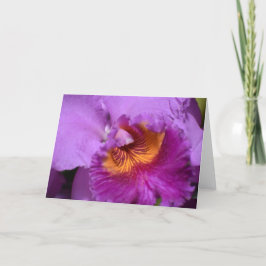 Orchid, Karte