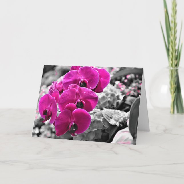 Orchid, Karte (Vorderseite)