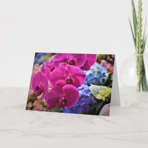 Orchid, Karte