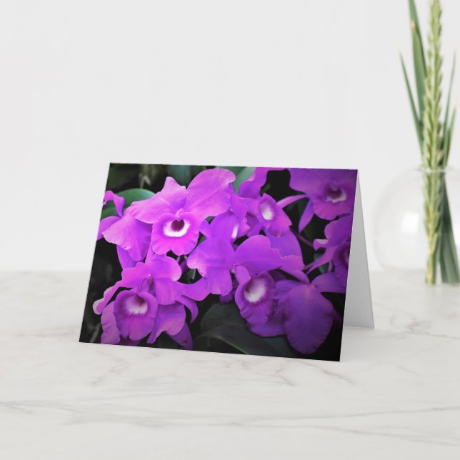 Orchid, Karte (Vorderseite)