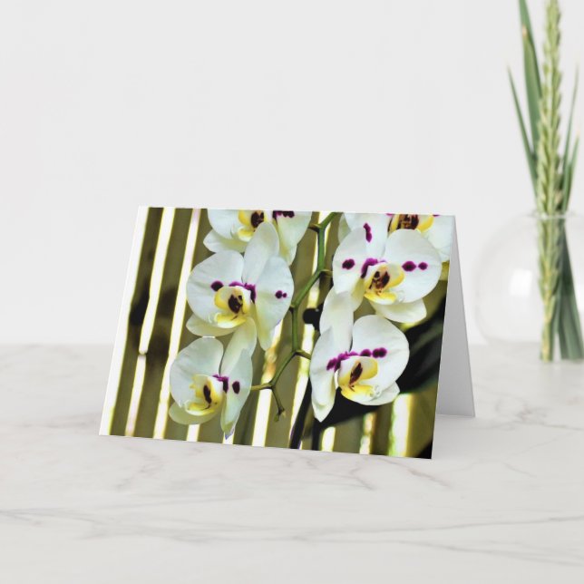 Orchid, Karte (Vorderseite)