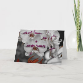 Orchid, Karte